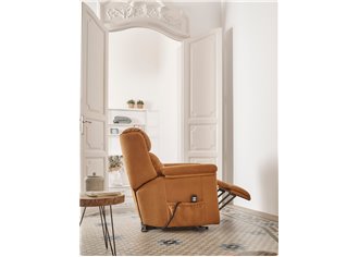 GALAXIE - Fauteuil Releveur Mono-Moteur Electrique